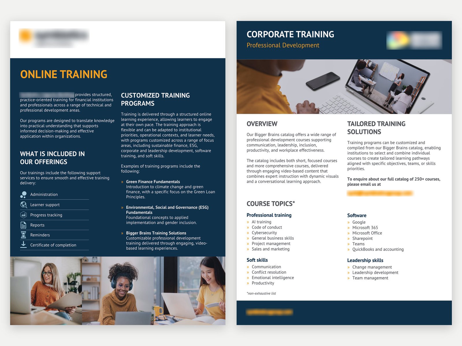Training Brochures: Online and corporate training